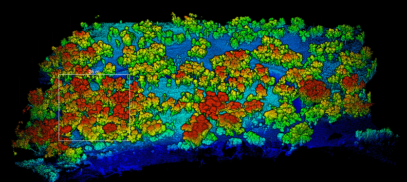TLS point-cloud top down. Riparian vegetation density represented by hyperspectral image.