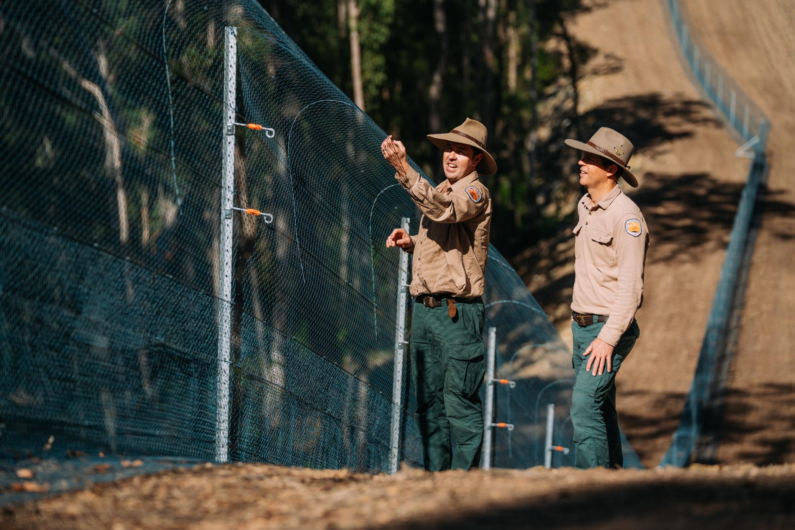 DCCEEW Ecologist Matt Dobson and NPWS Coffs Coast Area Manager Andrew Pitzen assessing an area of the Ngambaa fence.