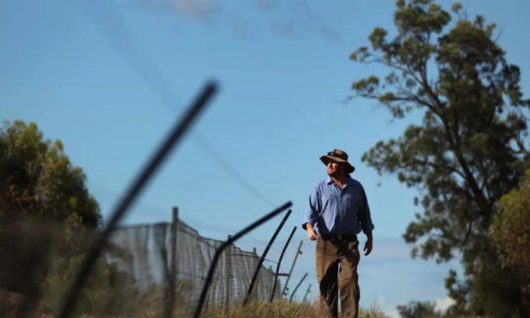 Matt Hayward walks along the fence line of a feral animal exclosure. Photo Sydney Morning Herald.