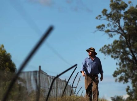 Matt Hayward walks along the fence line of an exclosure