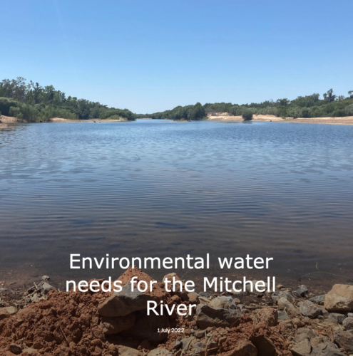 Mitchell River storymap thumbnail photo