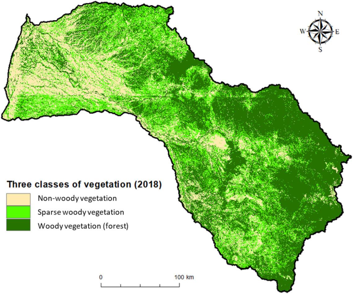 Map showing spatial coverage of woody vegetation in 2018, categorised into 3 classes: non-woody vegetation, sparse woody vegetation and woody vegetation (forest).