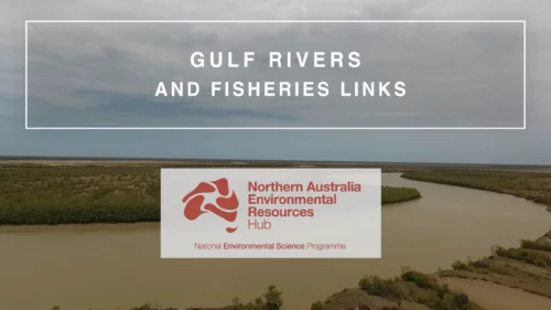 Gulf rivers and fisheries links video title scene thumbnail
