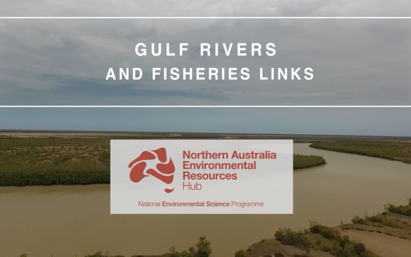 Gulf rivers and fisheries links video title scene thumbnail