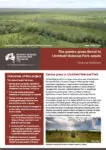 Gamba grass in Litchfield National Park factsheet cover