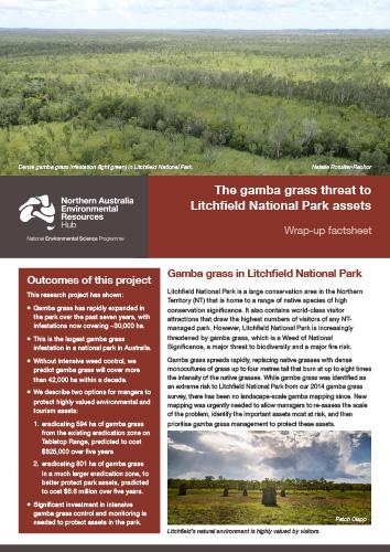 Gamba grass in Litchfield National Park factsheet cover