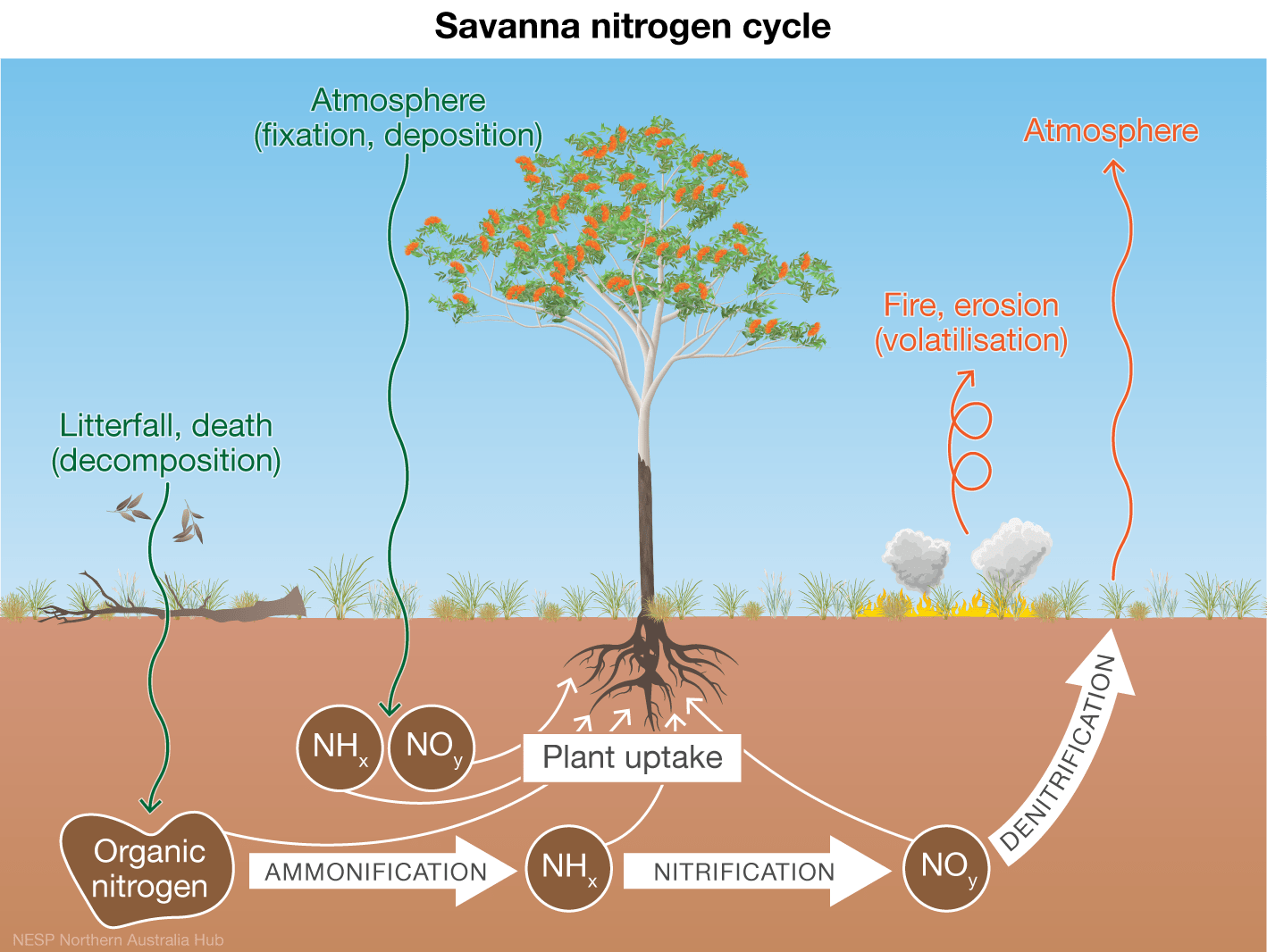 Other impacts