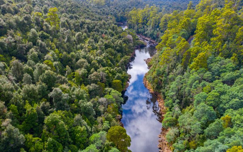 Aerial view of Arthur river at Tarkine forest in Tasmania, Australia. Image: dudlajzov/Adobe Stock.