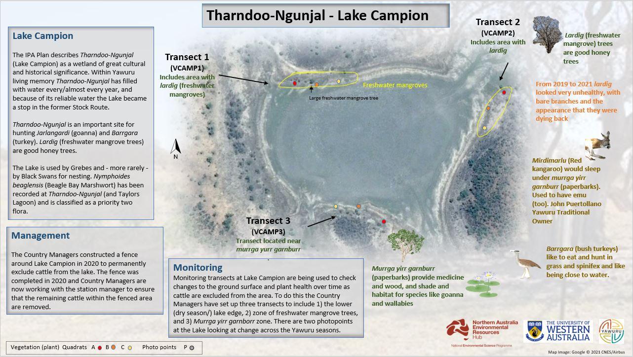 Summary poster for Tharndoo-Ngunjal developed to assist with individual site monitoring and management.