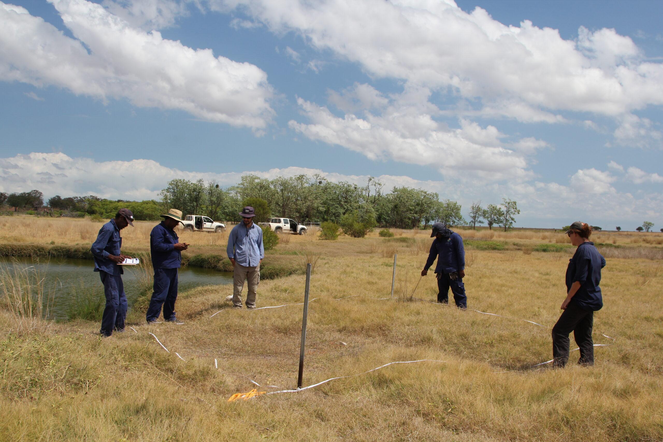 Monitoring vegetation transects around a recently fenced spring. Photo: Michelle Pyke.