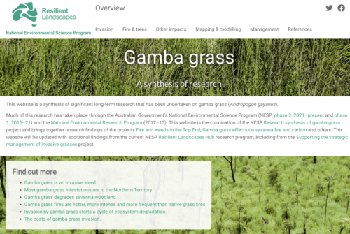 Screenshot of the front page of the gamba grass website