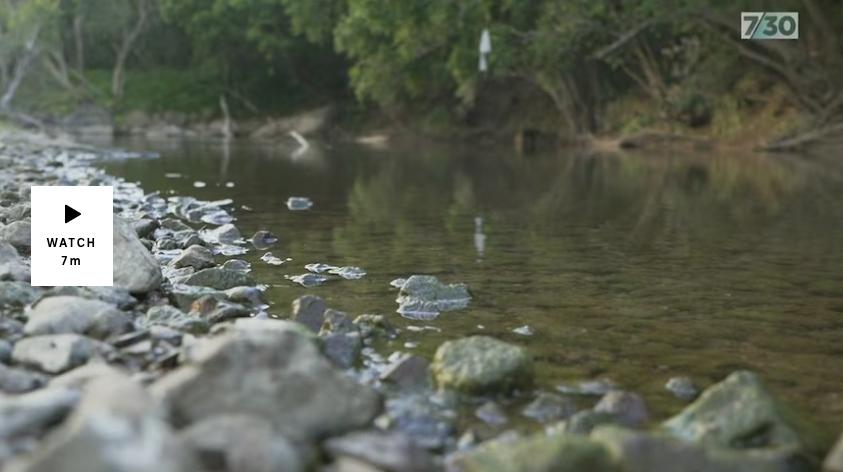 Thumbnail of the ABC 7.30 piece on the Mary River project.