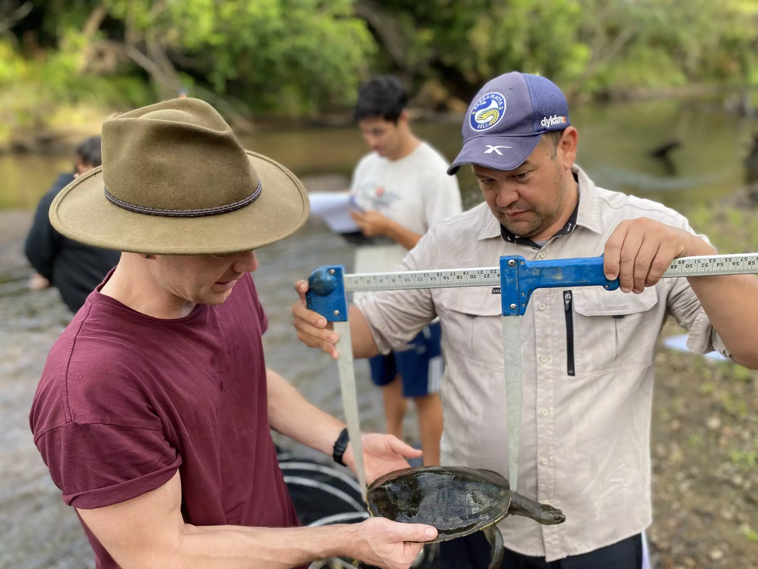 Planning for catchment restoration and threatened species recovery in the mary river