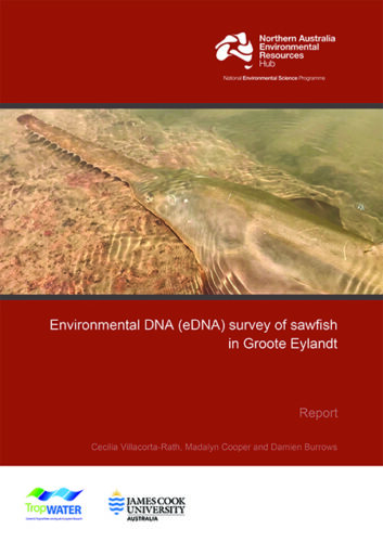 cover of sawfish eDNA in Groote Eylandt report