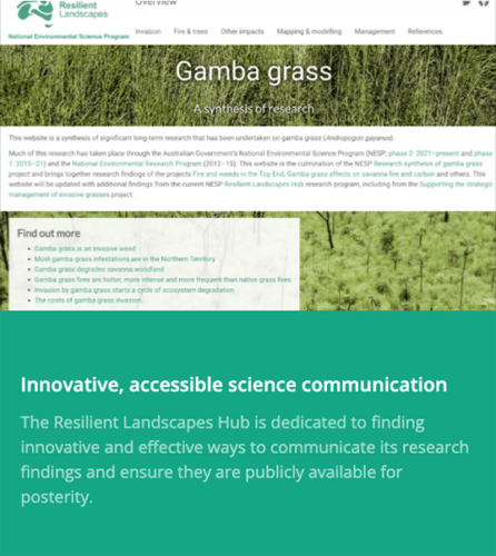 Screenshot of gamba grass website