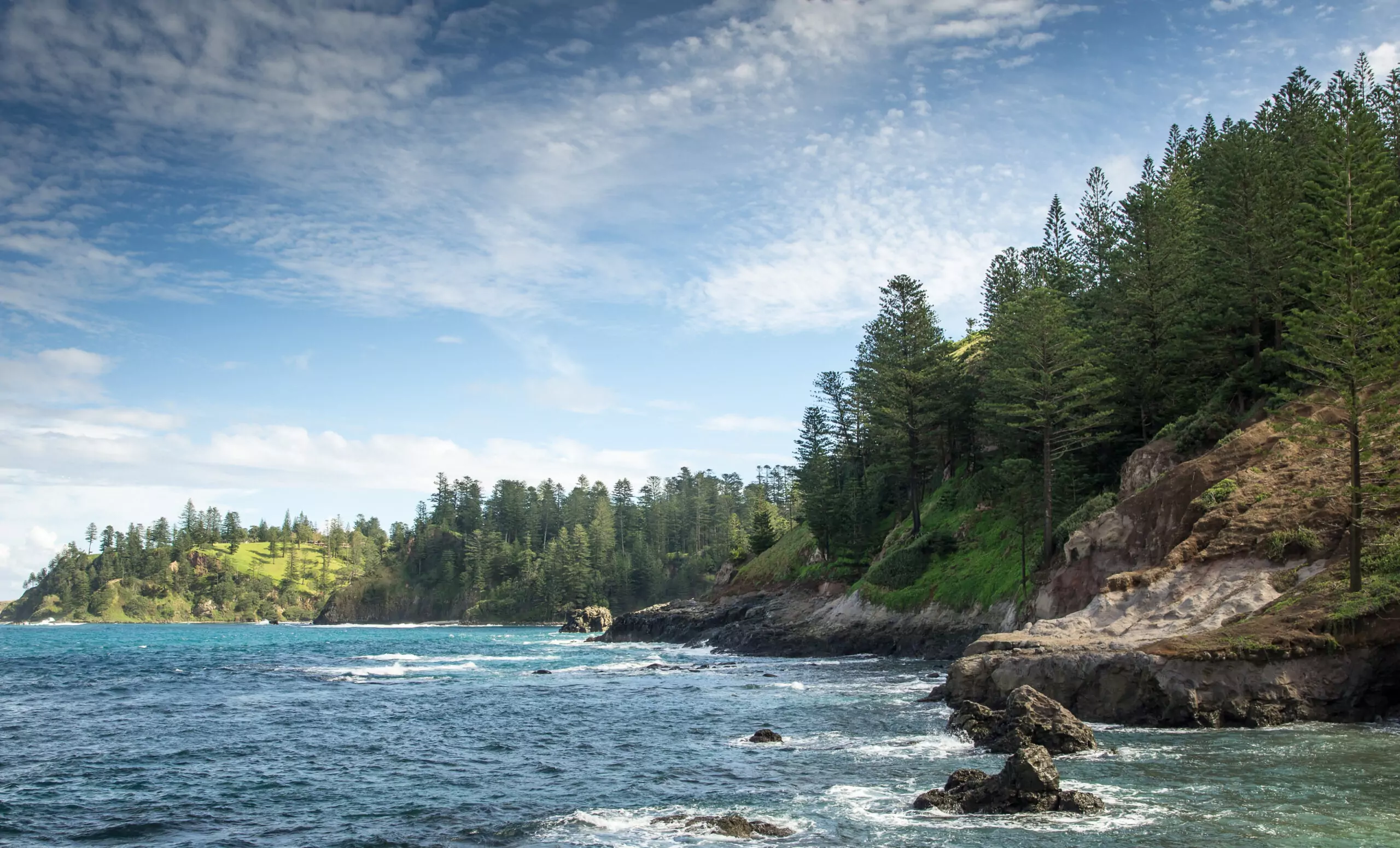 Ocean waves swirling against the rocks along the coastline at Kingston - Norfolk Island. Norfolk pines growing on the cliffs above.