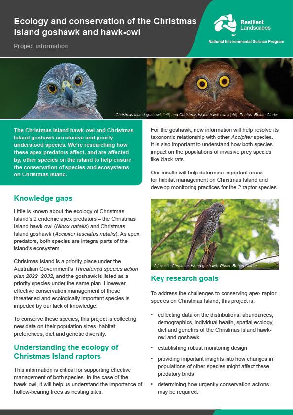 Ecology and conservation of the Christmas Island goshawk and hawk-owl ...