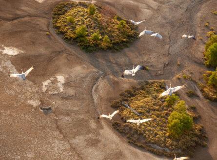 Wetlands near Walcott Inlet in the Kimberley Region of Western Australia will benefit from an Indigenous wetland monitoring platform. Photo: Philip Schubert/AdobeStock.