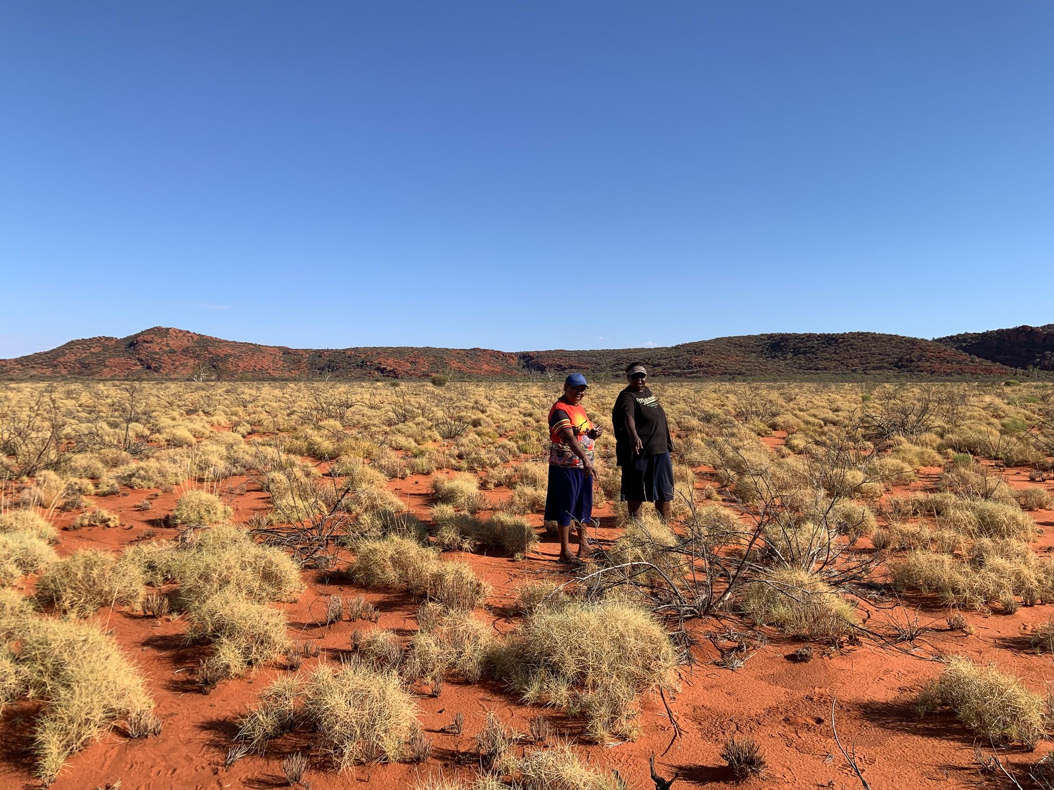 Two women stand in a desert, surrounded by spinifex, looking for burrows.