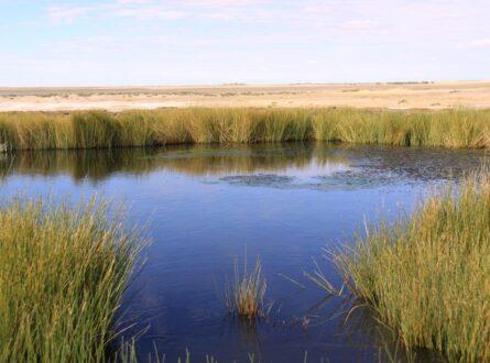 Blanche Cup Mound Spring is in Wabma Kadarbu Mound Springs Conservation Park, SA, is a groundwater-dependent ecosystems. Photo: Don Shearman CC BY-NC-SA 2.0.