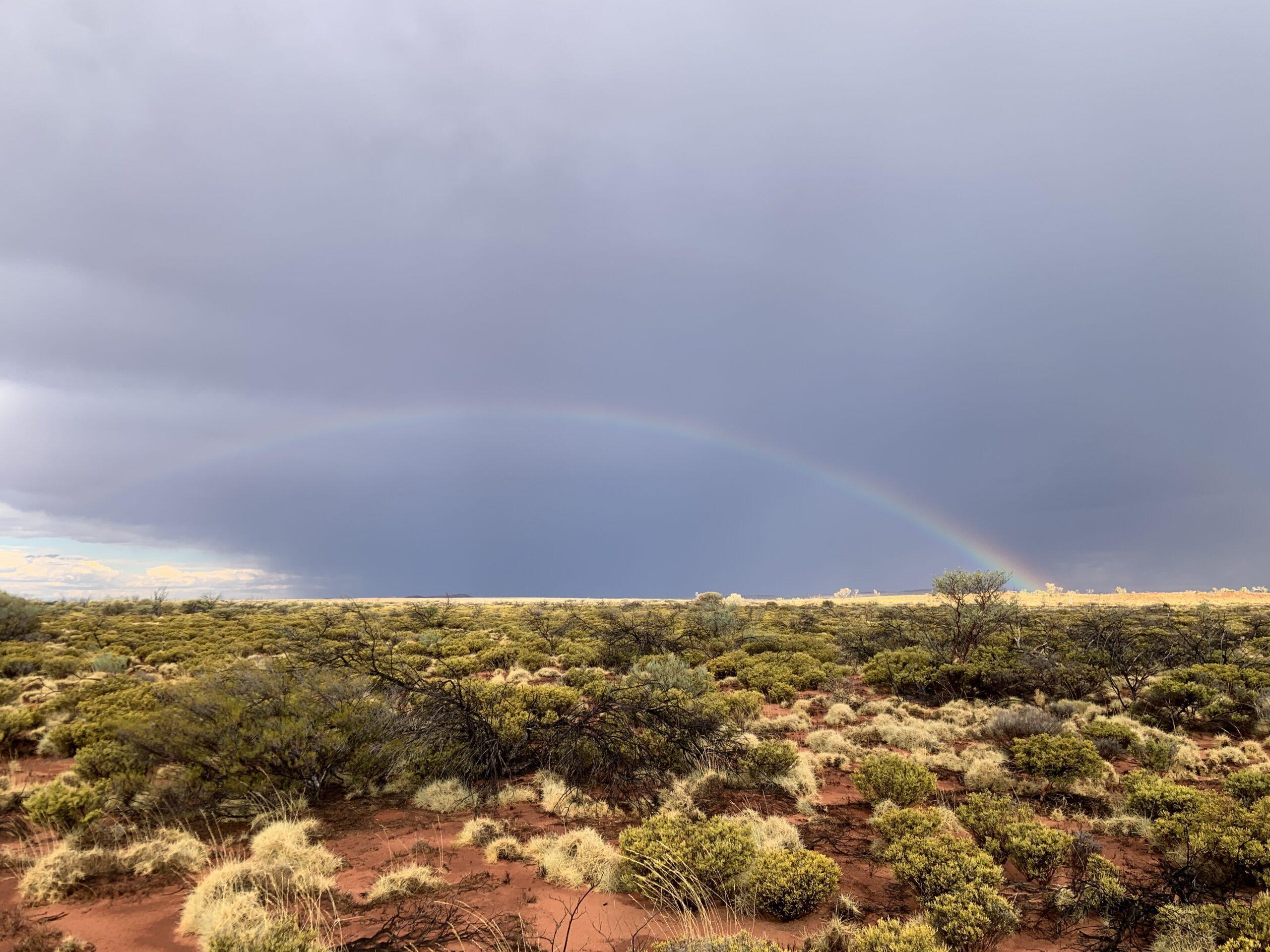 A rainbow shining over resilient desert landscapes