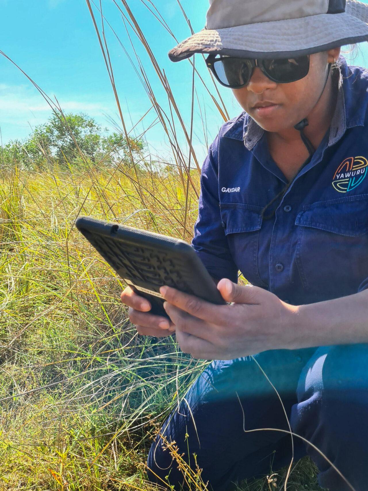 Developing an Indigenous wetland monitoring and management toolkit ...