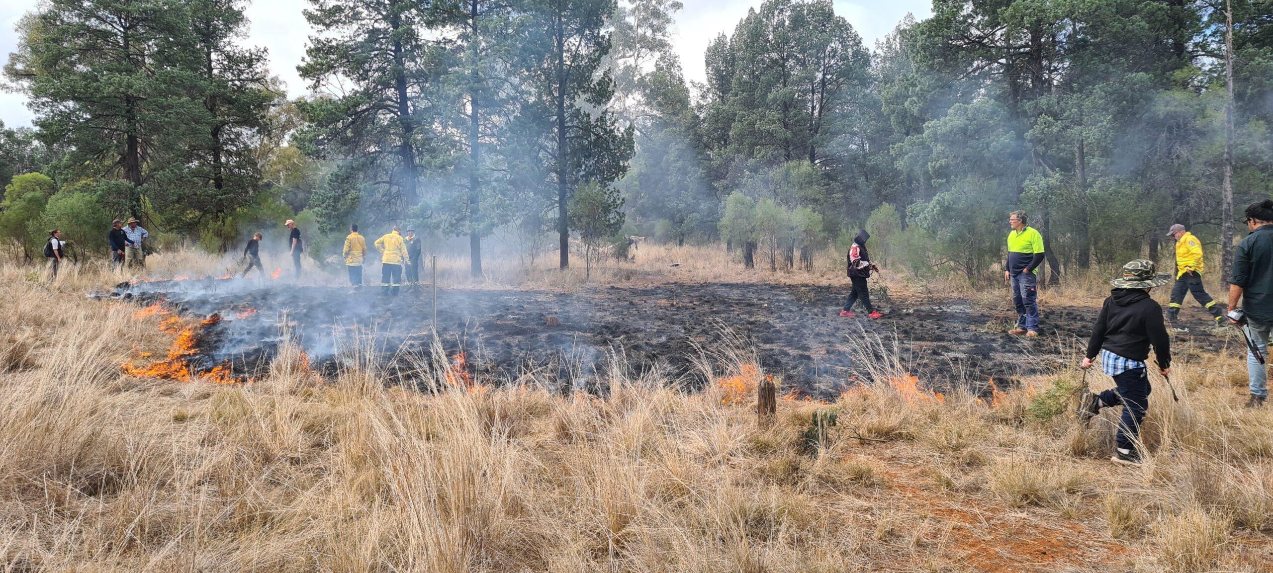 People doing a cultural burn in a grassland next to a forest