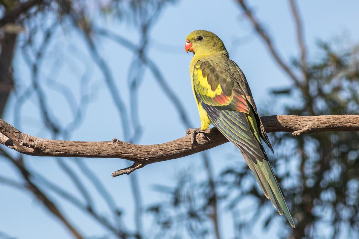 13 new research projects launched by the Resilient Landscapes Hub for ...