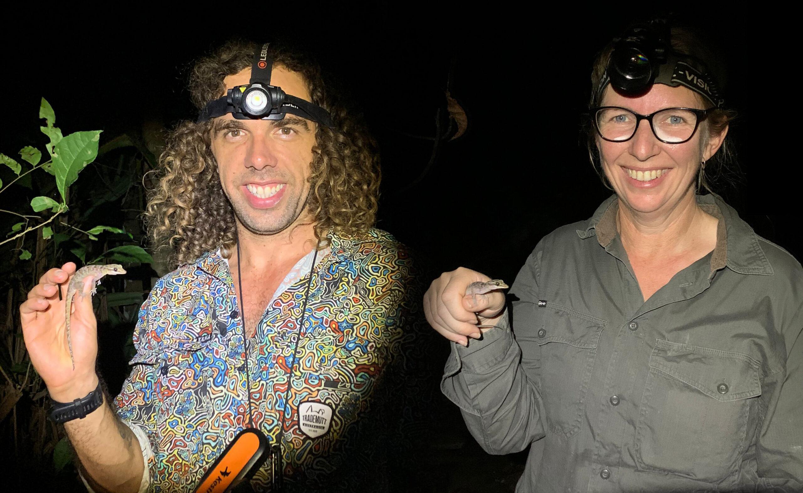 Two researchers hold a gecko in their right hand. It's nighttime and they are illuminated by torchlight.