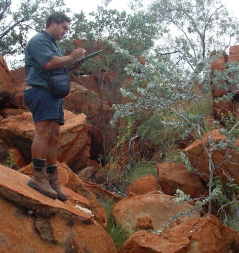 A man stands on a rock and writes down information about plants.