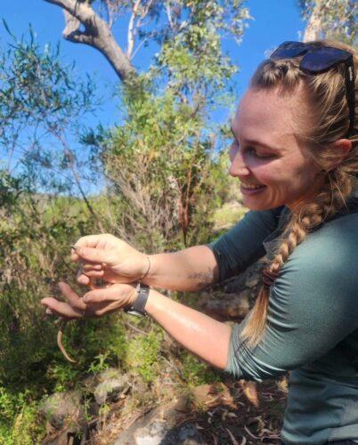 A scientists holds on to a lizard.