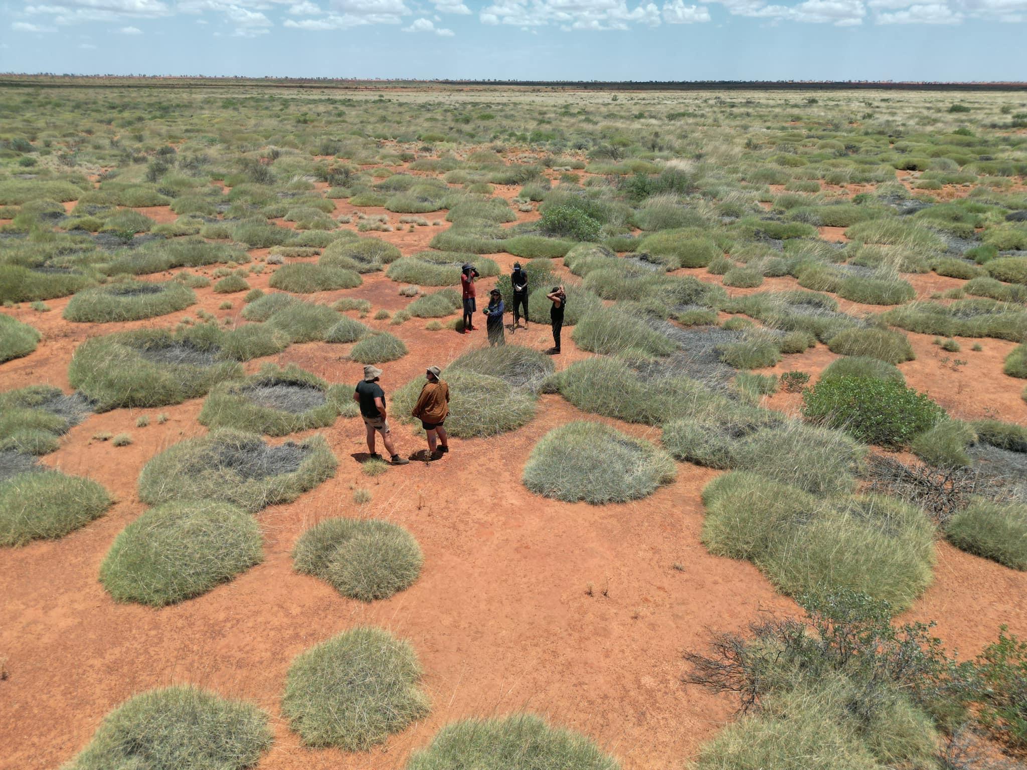 An aerial oblique shot of a small group of people walking across a spinifex desert