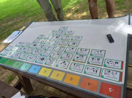A table with Q-methodology ranked responses.