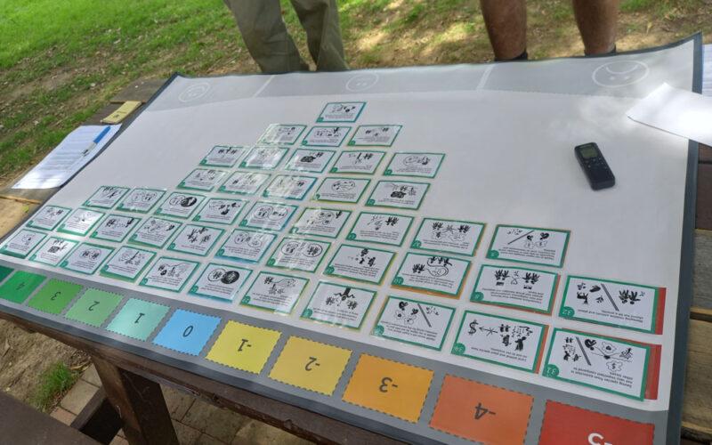 A table with Q-methodology ranked responses.