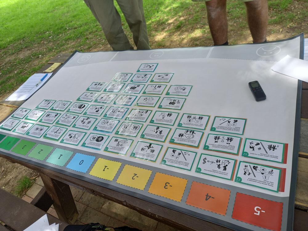 A table with Q-methodology ranked responses.