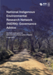 NIERN Governance Report