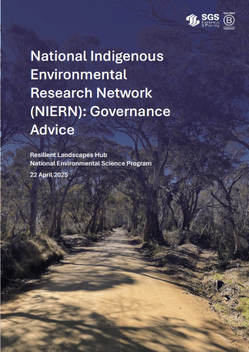 NIERN Governance Report