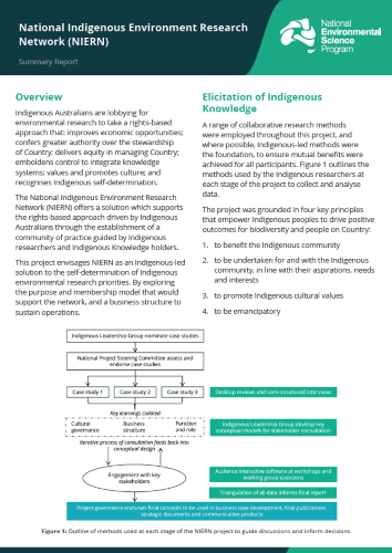 NIERN Summary Report Thumbnail