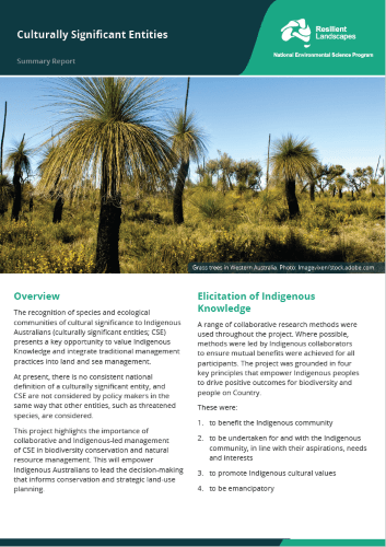 3.16 CSE Summary Report thumbnail