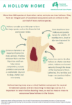 Hollows info sheet thumbnail