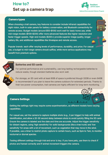 How to set up a camera trap thumbnail