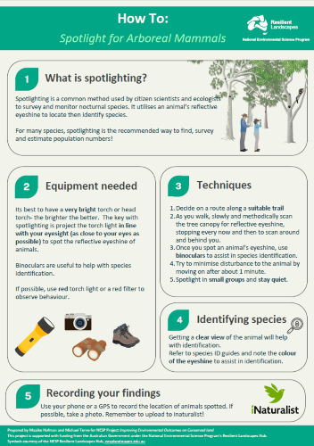 Spotlighting for arboreal mammals (info sheet) 