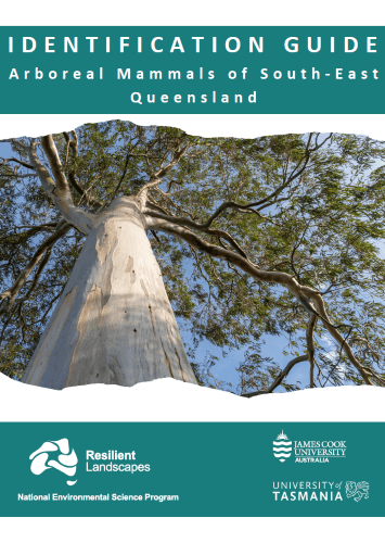 Identification guide to arboreal mammals (info sheet)