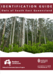 Identification guide to owls of south-east Queensland (thumbnail)