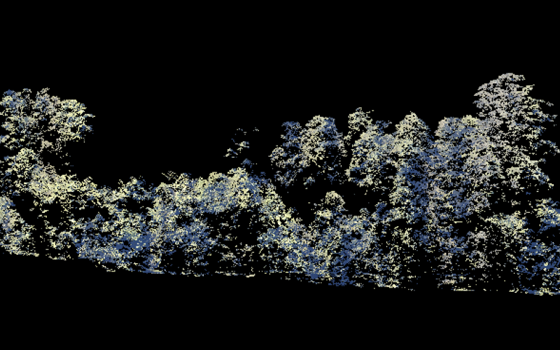 LiDAR forest cross section. (Patrick Norman 2025)