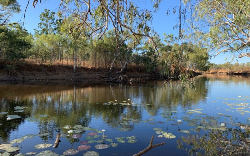 A river pool in Tagalaka National Park. Photo: Queensland Government.