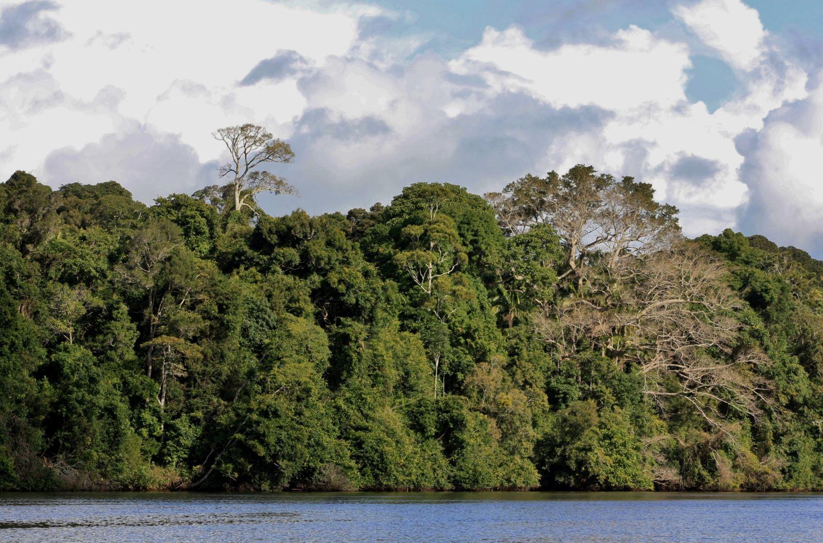 Research Update: Adaptation pathways planning in the Northern Rivers ...