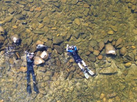 Dry season sampling for Bloomfield River Cod (Photo: Australian Rivers Institute / NESP)