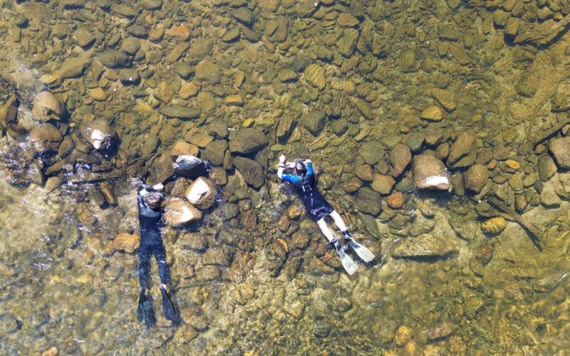 Dry season sampling for Bloomfield River Cod (Photo: Australian Rivers Institute / NESP)