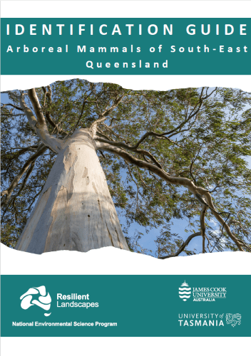 Identification guide: Arborial mammals SE Qld_thumb